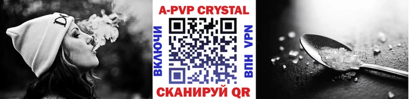 OMG вход  Тосно  A PVP крисы CK 