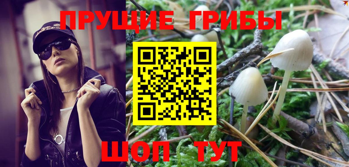 Галлюциногенные грибы Magic Shrooms  Вход с VPN  Тосно  Псилоцибиновые грибы Psilocybine cubensis 