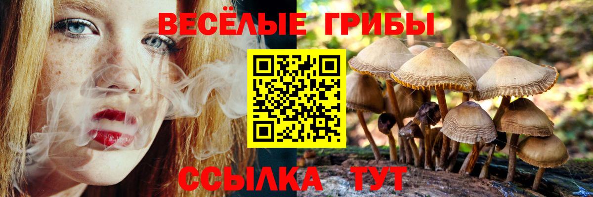 Галлюциногенные грибы мухоморы  как найти закладки  Галлюциногенные грибы Psilocybe  Тосно 