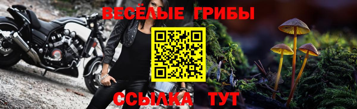 Псилоцибиновые грибы ЛСД Тосно